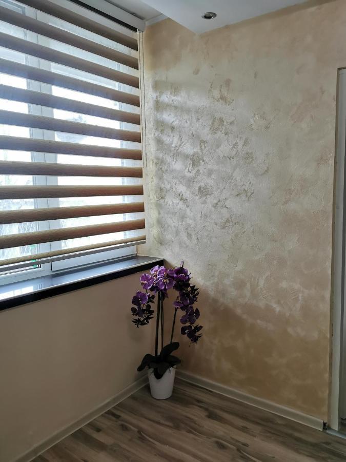 Apartment Ruza Kladovo Dış mekan fotoğraf