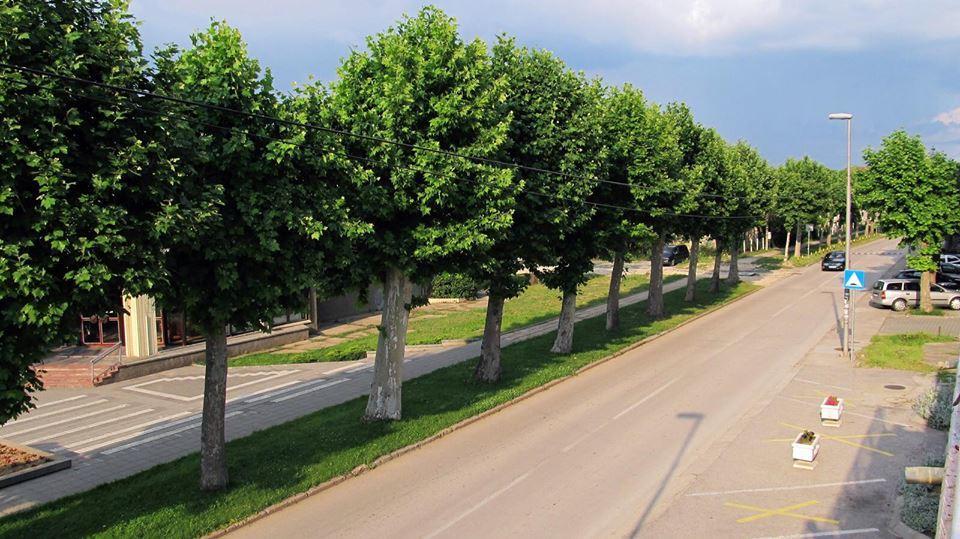 Apartment Ruza Kladovo Dış mekan fotoğraf
